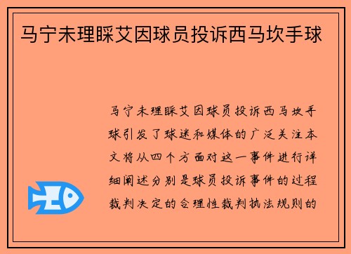 马宁未理睬艾因球员投诉西马坎手球